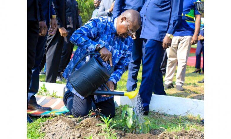 VP to lead national tree planting exercise on Zanzibar Revolution Day VP to lead national tree planting exercise on Zanzibar Revolution Day
