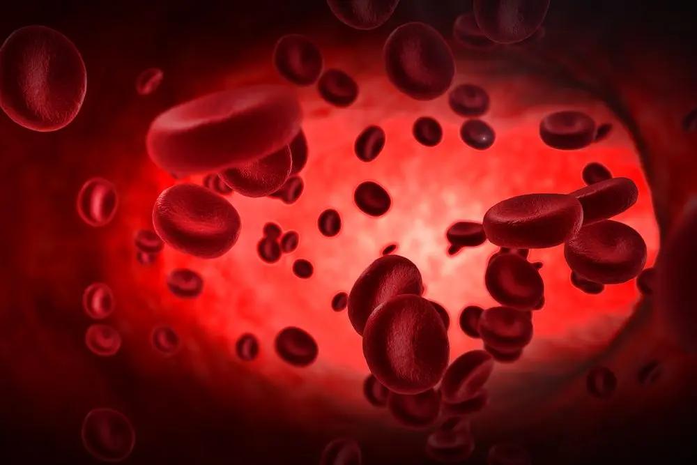 France honours TZ scientist for tackling sickle cell France honours TZ scientist for tackling sickle cell