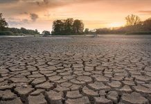 Upcoming UN talks must inject ‘credibility’ in climate action: Expert Upcoming UN talks must inject ‘credibility’ in climate action: Expert