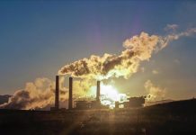 Subsidies for fossil fuels can be used to finance climate action: World Bank Subsidies for fossil fuels can be used to finance climate action: World Bank