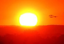 Top 10 African countries facing record-breaking heat waves in 2023 Top 10 African countries facing record-breaking heat waves in 2023