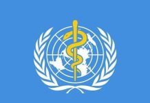 90% people infected with hepatitis unaware of their infection status: WHO 90% people infected with hepatitis unaware of their infection status: WHO