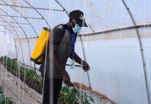 Youth hubs creating jobs for young people in nine African countries – IFAD Youth hubs creating jobs for young people in nine African countries - IFAD