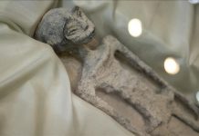 Questions arise over authenticity of ‘alien’ corpses unveiled in Mexican Congress Questions arise over authenticity of 'alien' corpses unveiled in Mexican Congress