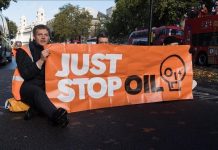 Nearly 2,000 environmental activists have been killed over 10-year period: NGO Nearly 2,000 environmental activists have been killed over 10-year period: NGO