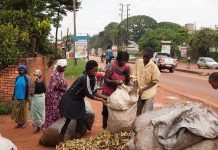 Ugandans turning banana wastes into useful fibres Ugandans turning banana wastes into useful fibres