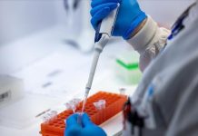 Mpox outbreak might be declared public health emergency amid recent spread: WHO Mpox outbreak might be declared public health emergency amid recent spread: WHO