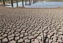 World’s rivers experience driest year in over 3 decades World's rivers experience driest year in over 3 decades