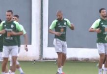 AFCON qualifiers: Mahrez and Algeria train ahead of Togo AFCON qualifiers: Mahrez and Algeria train ahead of Togo