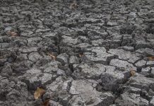 UN agricultural fund calls for adaptation financing for small-scale farmers UN agricultural fund calls for adaptation financing for small-scale farmers