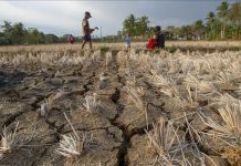 Islamic bank grants $10M to WHO for health care, climate solutions Islamic bank grants $10M to WHO for health care, climate solutions