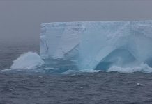 World’s largest iceberg emerges from vortex, moving northward World's largest iceberg emerges from vortex, moving northward