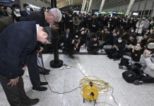 179 dead in South Korea plane crash; officials suggest bird strike to blame for the incident 179 dead in South Korea plane crash; officials suggest bird strike to blame for the incident