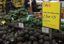 Global inflation expected to stay high until 2028: Survey Global inflation expected to stay high until 2028: Survey
