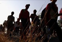 Global unemployment holds at 5%, but labor market challenges persist: UN agency Global unemployment holds at 5%, but labor market challenges persist: UN agency