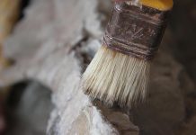 66-million-year-old fossilized vomit discovered in Denmark 66-million-year-old fossilized vomit discovered in Denmark