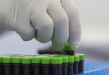 WHO says cases of deadly strain of mpox continue to spread worldwide WHO says cases of deadly strain of mpox continue to spread worldwide