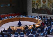 Denmark assumes UN Security Council presidency for March Denmark assumes UN Security Council presidency for March