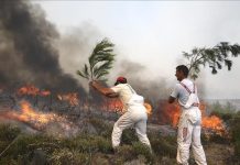 Climate change intensifies threat of urban fires worldwide: Study Climate change intensifies threat of urban fires worldwide: Study