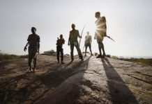 ”Children of Honey” turns heads at Geneva Film Festival ''Children of Honey'' turns heads at Geneva Film Festival