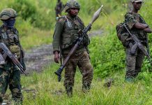 SADC forces withdrawal and M23 advance heighten DRC crisis-Analyst SADC forces withdrawal and M23 advance heighten DRC crisis-Analyst