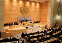 UN trade agency urges US to spare vulnerable economies from tariffs UN trade agency urges US to spare vulnerable economies from tariffs