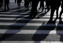 OECD area’s unemployment rate stable at 4.8% in February OECD area's unemployment rate stable at 4.8% in February