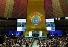 UN Warns Political Climate Threatens Sustainable Development UN Warns Political Climate Threatens Sustainable Development