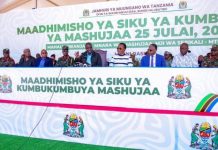 Heroes Day Celebrations to Brighten the Tanzanian Capital Heroes Day Celebrations to Brighten the Tanzanian Capital