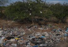 Global Agreement to Combat Plastic Pollution Creates Jobs Global Agreement to Combat Plastic Pollution Creates Jobs