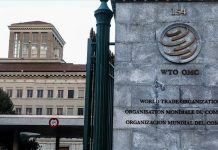 AI Projected to Boost Global Trade by 37% WTO AI Projected to Boost Global Trade by 37% WTO