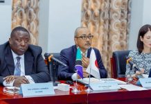 Tanzania, Japan team up on carbon markets Tanzania, Japan team up on carbon markets