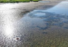 Global Water Crisis Deepens Amid Floods and Droughts Global Water Crisis Deepens Amid Floods and Droughts