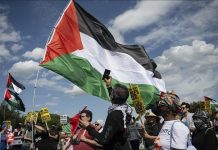 Recognition of Palestinian State Grows Before UN Assembly Recognition of Palestinian State Grows Before UN Assembly