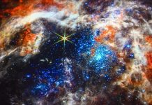 Webb Telescope Reveals Galaxy’s Largest Star Nursery Webb Telescope Reveals Galaxy's Largest Star Nursery