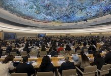 UN elects new rights council members UN elects new rights council members