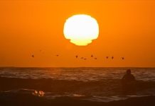 Earth to Experience 57 More Scorching Days by 2100 Earth to Experience 57 More Scorching Days by 2100