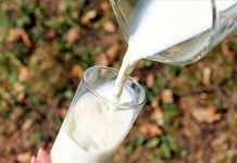 Bird flu virus found in raw milk cheese, study finds Bird flu virus found in raw milk cheese, study finds