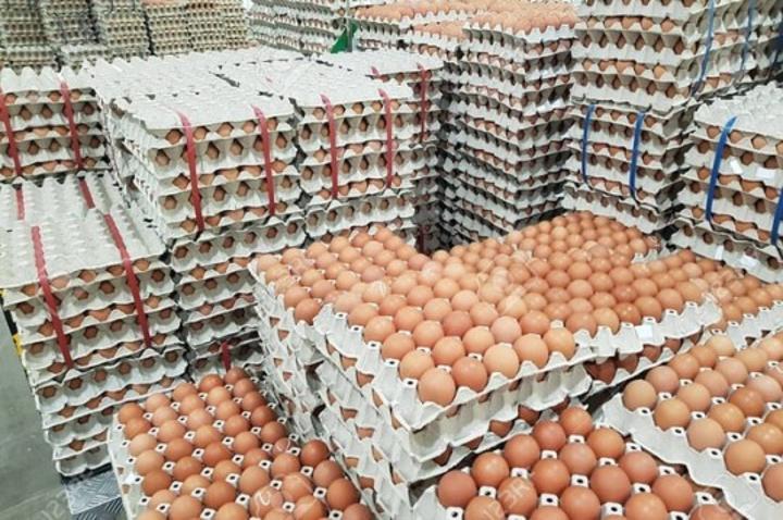 Egg prices stable despite rising farm costs Egg prices stable despite rising farm costs