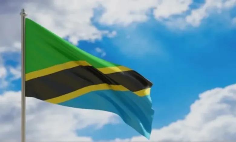 Tanzania must reimagine state ownership strategy Tanzania must reimagine state ownership strategy