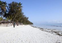 Women Leading Zanzibar’s Seaweed Farming Revolution Women Leading Zanzibar's Seaweed Farming Revolution