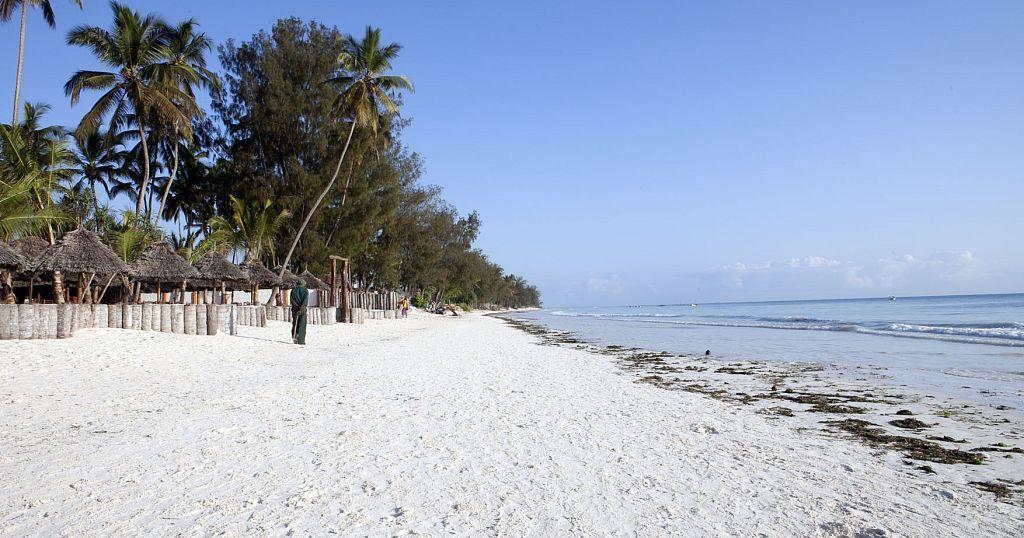 Women Leading Zanzibar's Seaweed Farming Revolution Women Leading Zanzibar's Seaweed Farming Revolution