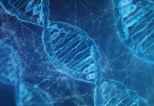 Scientists Develop DNA Tool to Predict Age and Origin Scientists Develop DNA Tool to Predict Age and Origin