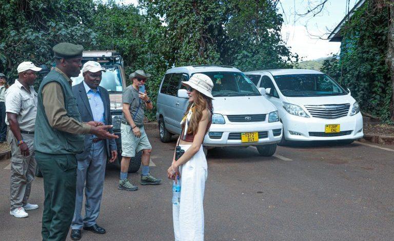 Ngorongoro Records a Beehive of Tourist Activities Ngorongoro Records a Beehive of Tourist Activities