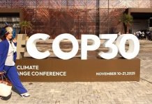 Tanzania’s Mangrove Revival Offers Hope in Climate Fight Tanzania's Mangrove Revival Offers Hope in Climate Fight