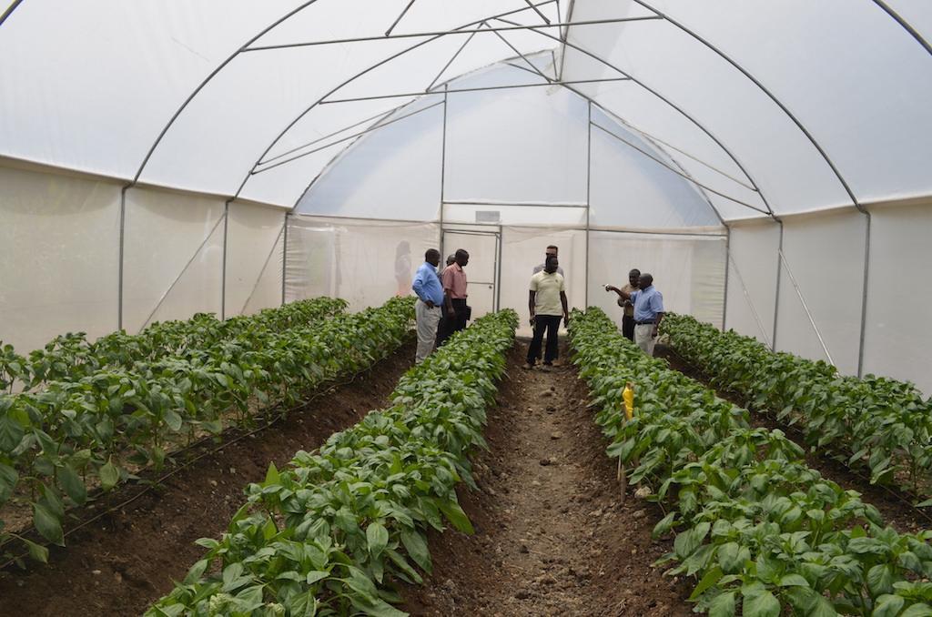 Over 400 Stakeholders to Attend Horticulture Summit Over 400 Stakeholders to Attend Horticulture Summit