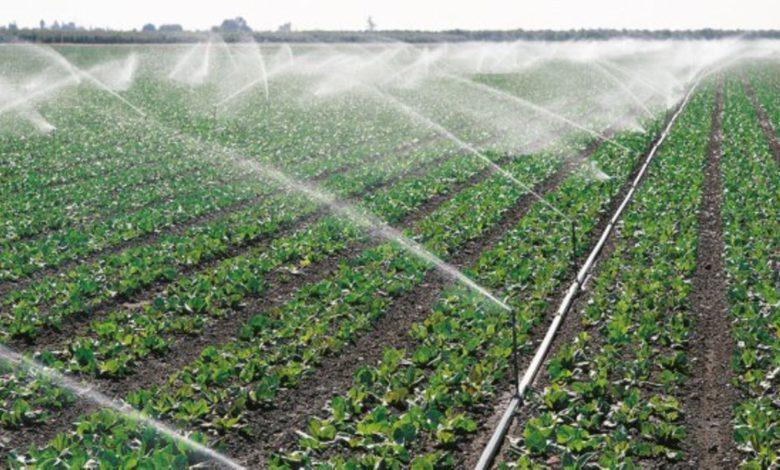 Protect Kiru–Magara Irrigation Project, Farmers Told Protect Kiru–Magara Irrigation Project, Farmers Told