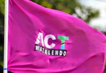 ACT-Wazalendo offered four ministries if it joins GNU ACT-Wazalendo offered four ministries if it joins GNU