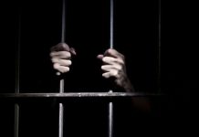 Tanzania issues a pardon to all youth facing treason charges Tanzania issues a pardon to all youth facing treason charges