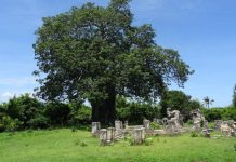 Kilwa Kisiwani World Heritage Site and Marine Resources Kilwa Kisiwani World Heritage Site and Marine Resources